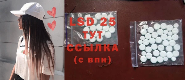 ECSTASY Алзамай