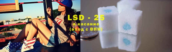 ECSTASY Алзамай