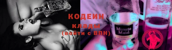 ECSTASY Алзамай