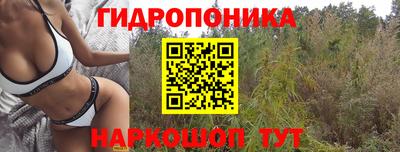 мескалин Можга