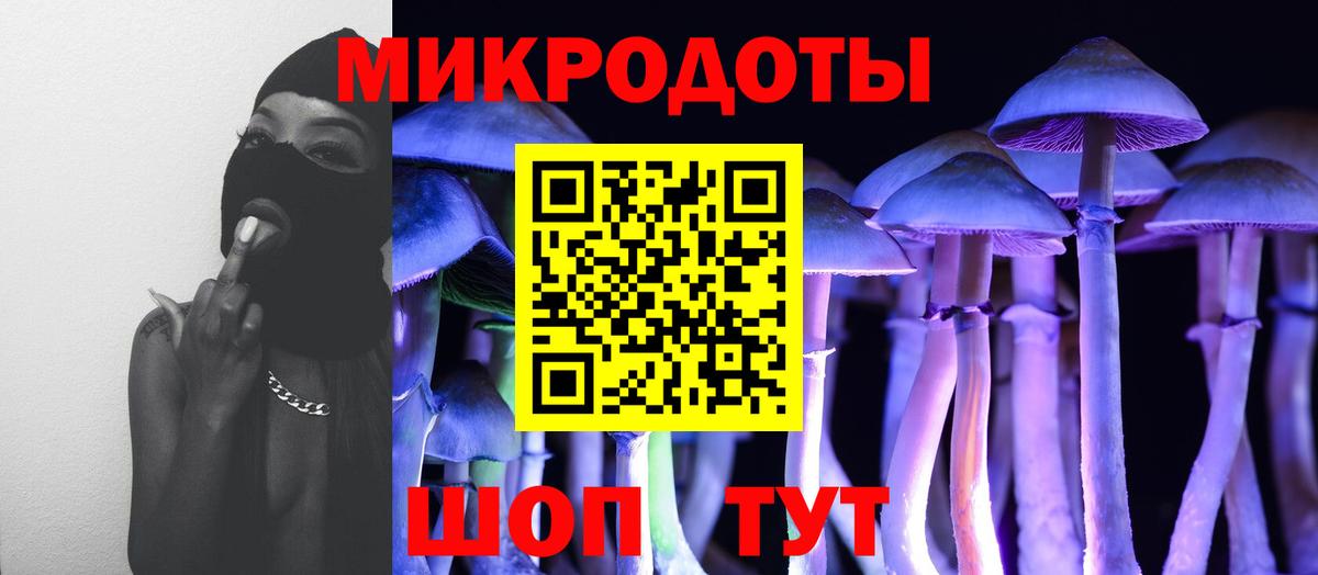 купить наркотики цена  Вход с VPN  Саров  Псилоцибиновые грибы MAGIC MUSHROOMS 